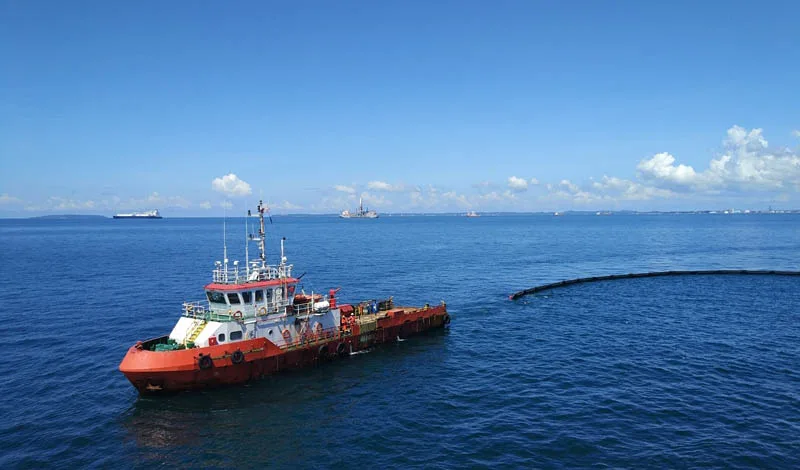 Marine lubrication: cylinder, system and trunk-piston engine oils
